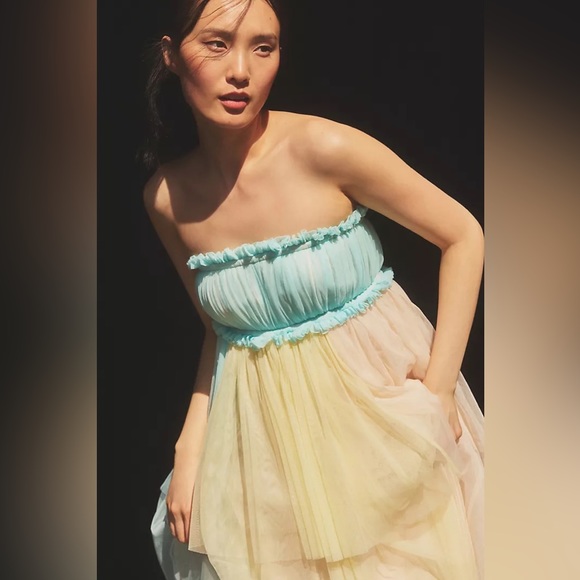 Pernille Rosenkilde for Anthropologie Strapless Tiered Tulle Dress - Picture 3 of 4